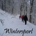 Wintersport im Harz