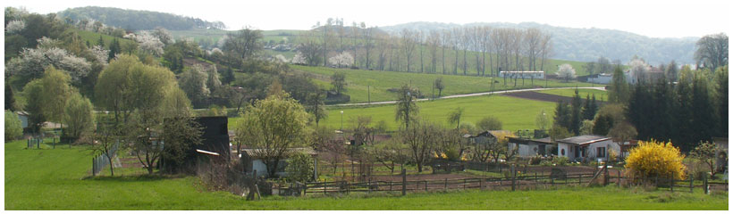 Steinthaleben in de lente